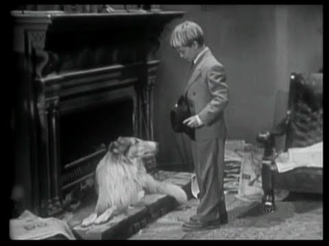 September 12, 1954…’Lassie’ Debuts On CBS
